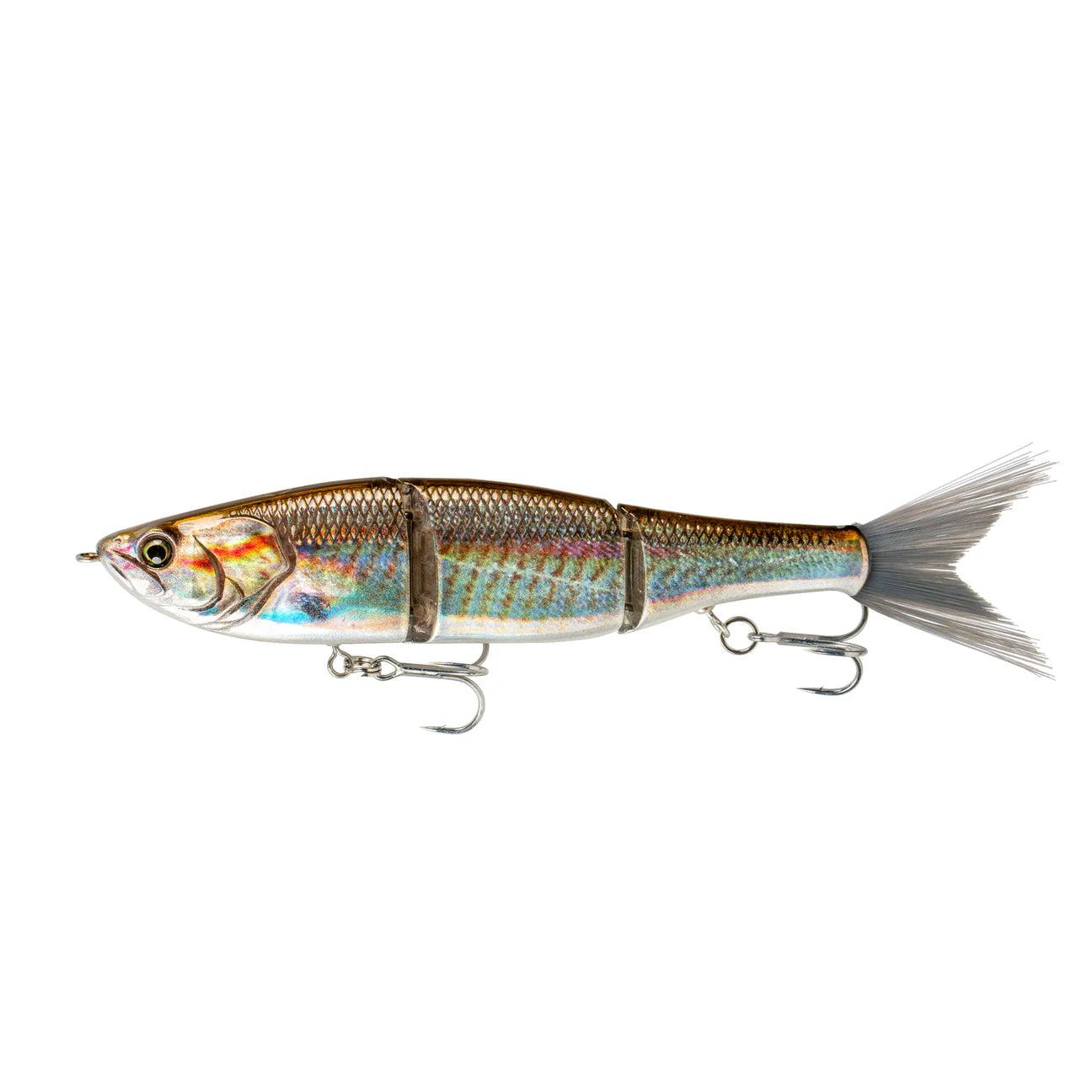 6th Sense Speed Draw 5.5" Croaker Flash "Saltwater"