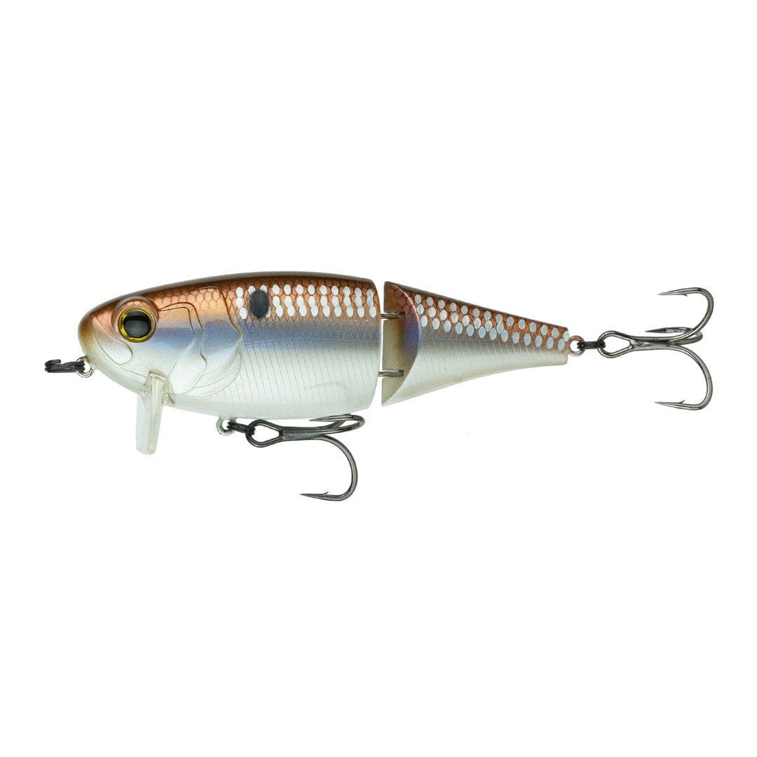 6Th Sense Speed Wake Wake Bait 4K Gizzard