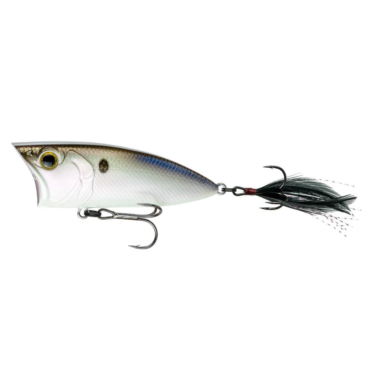 6Th Sense Splashback 70 - Black Magic 4k Shad