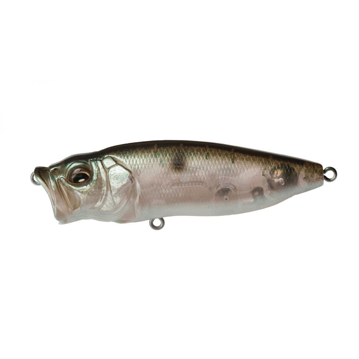 Megabass Popmax Mb Gizzard