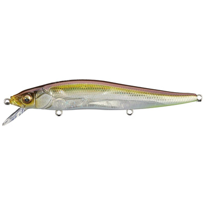Megabass Vision 110 Silent Ht Ito Tennessee Shad