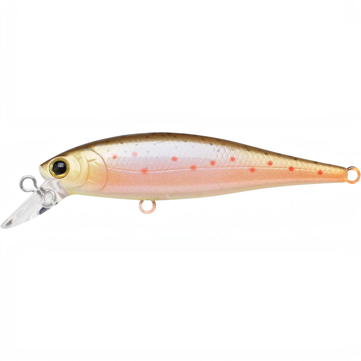 Hammonds Fishing Lucky Craft Pointer 65 jerkbait in a realistic trout pattern with pink spots and a diving lip