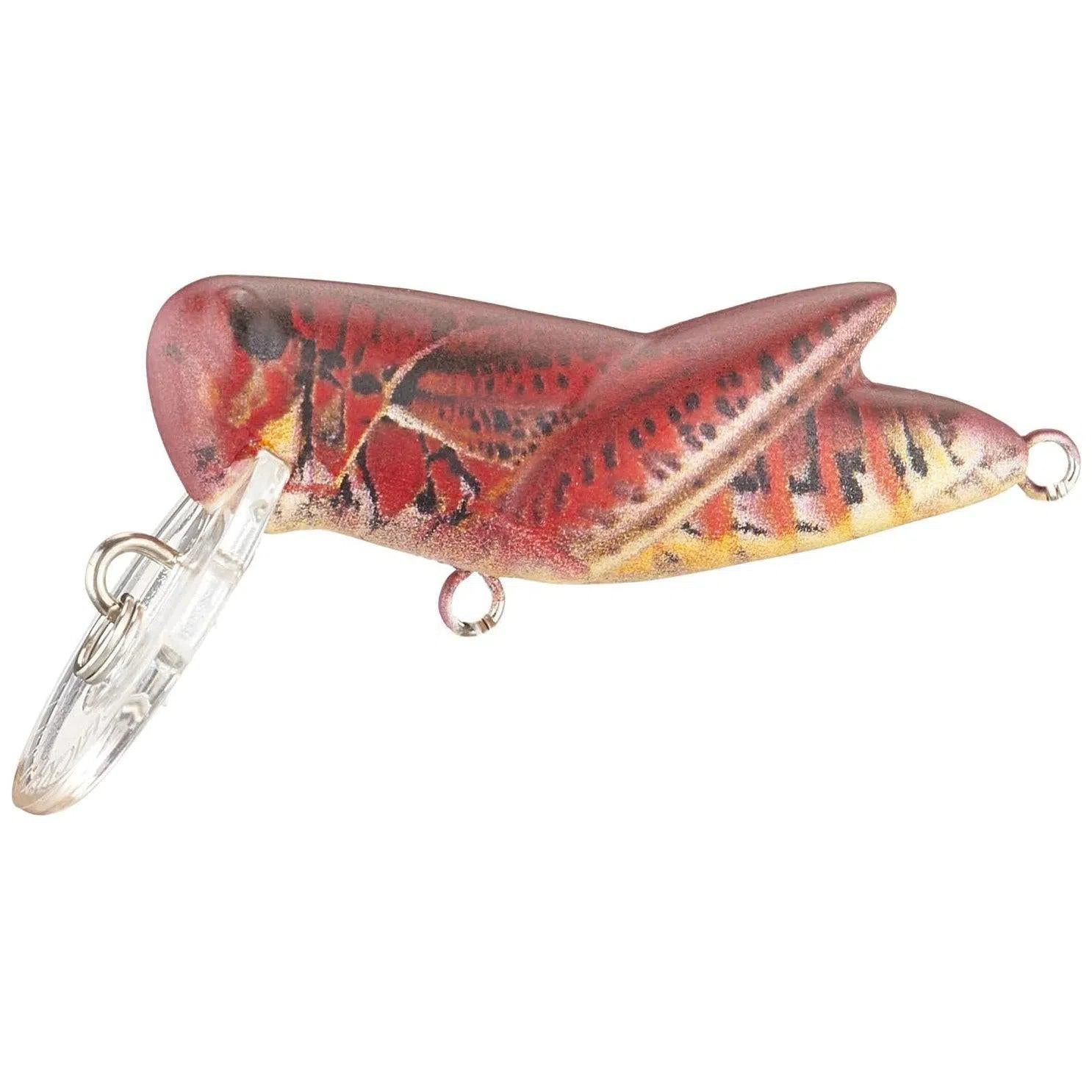 crickhopper fishing lures Rebel Fire Cricket hunting tumbler template What are the best so nearby prey is Color:Perch (True Image)