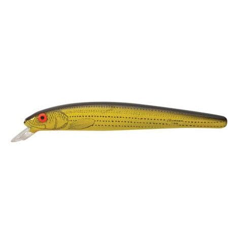 Bomber Long A 16A Yellow Baby Striper