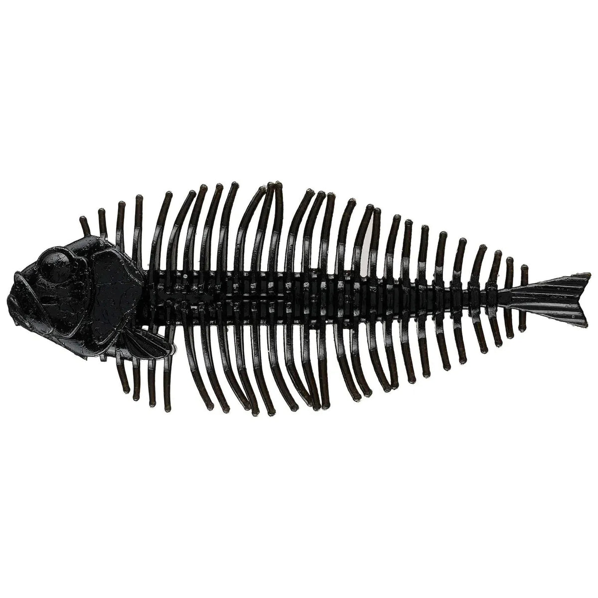 D Style Geelacanth