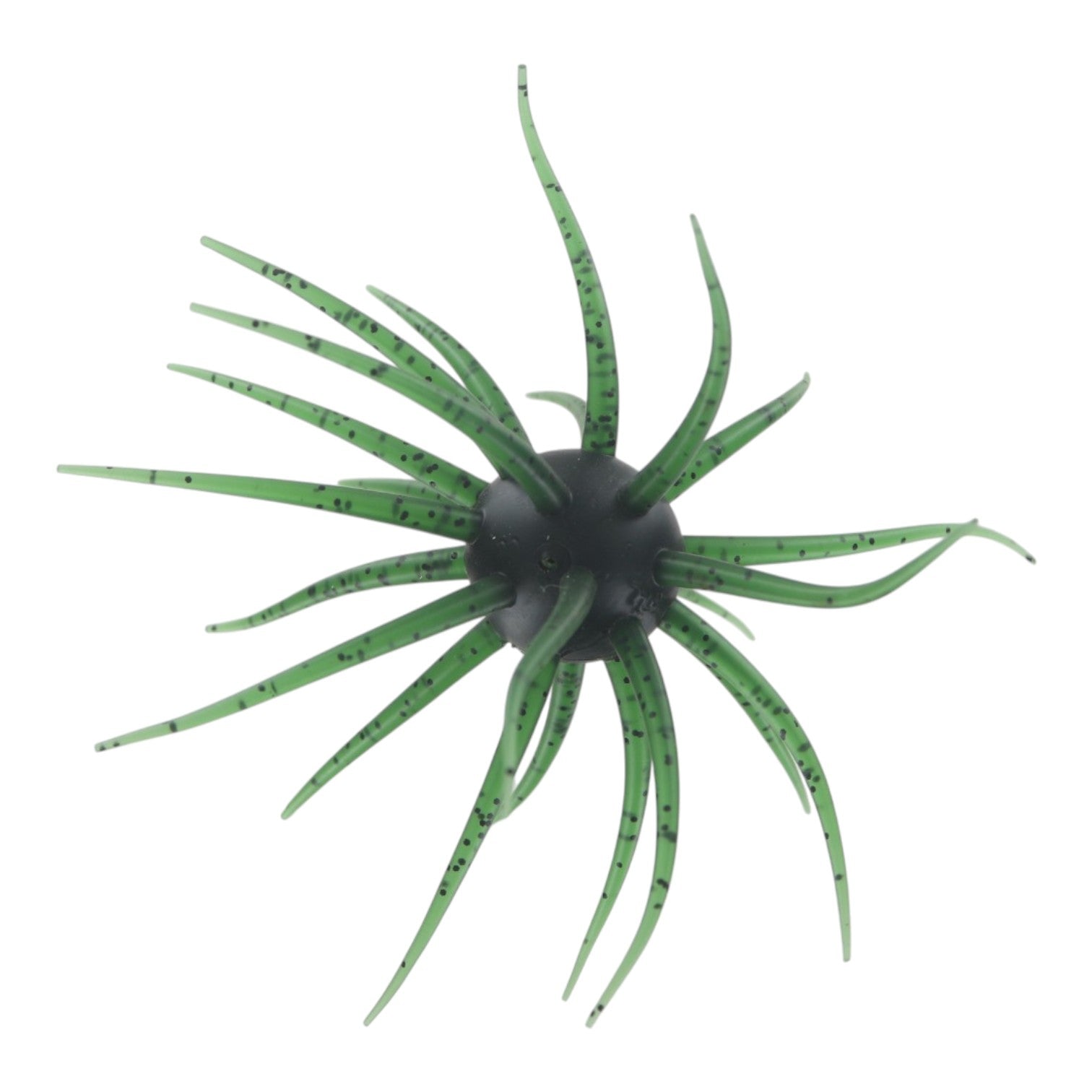 HideUp Coike Fullcast Watermelon Seed US #304