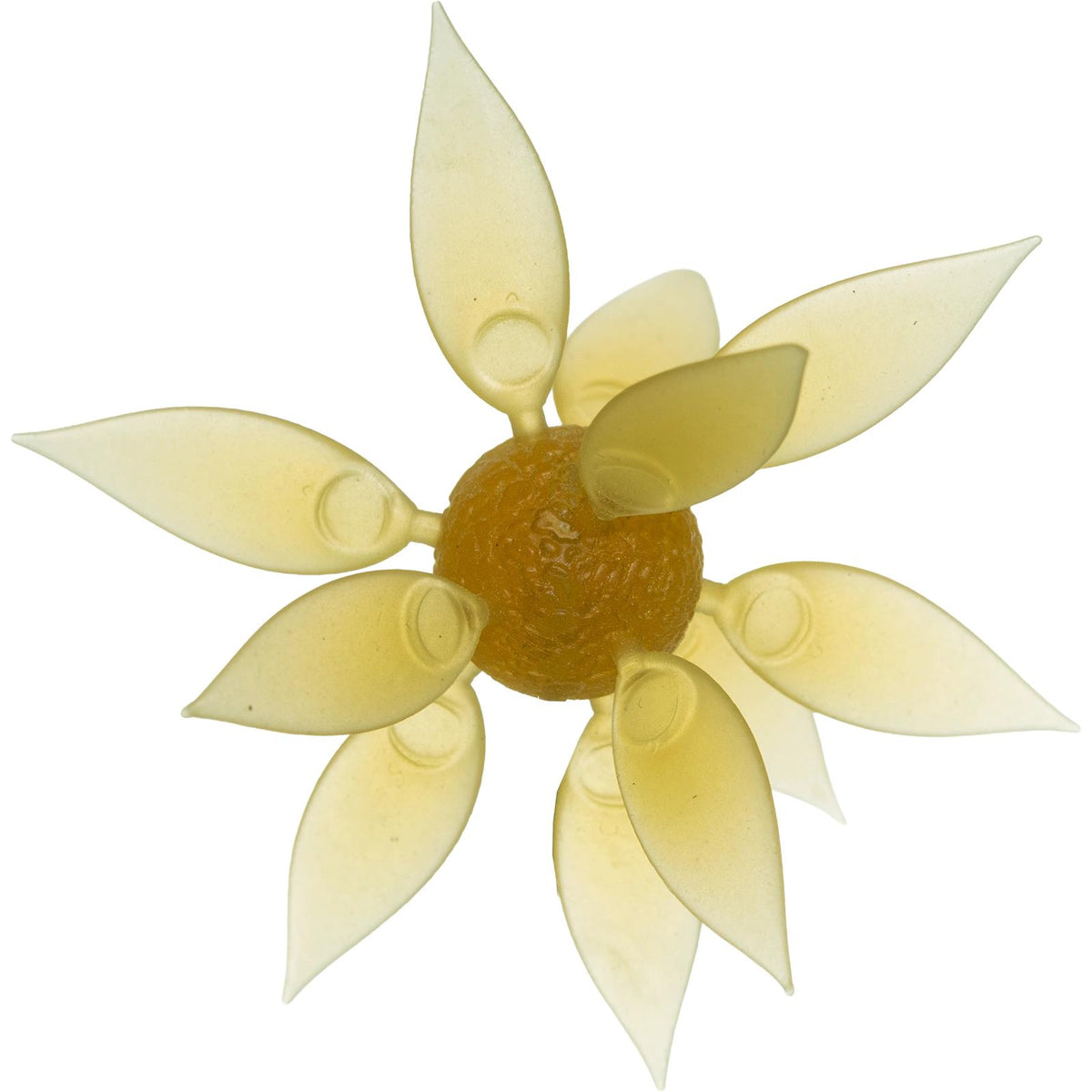 Hideup Coike Gill Medium Kuririn Kintoki #263