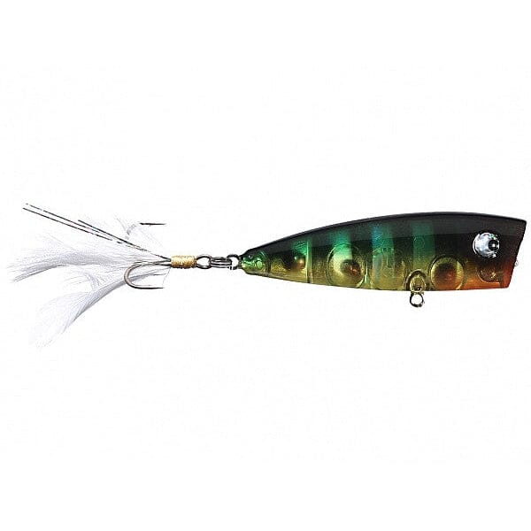 Lobina Ricos Popper Garrett'S Gill Rico