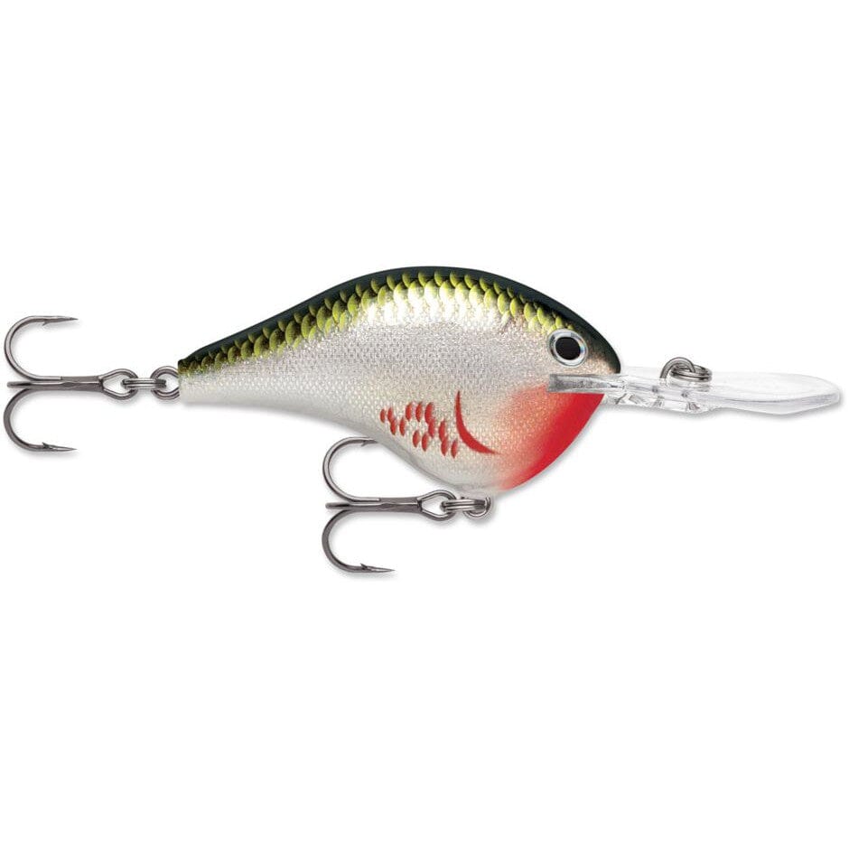 Rapala Dt 16 Crankbait Bleeding Olive Shiner