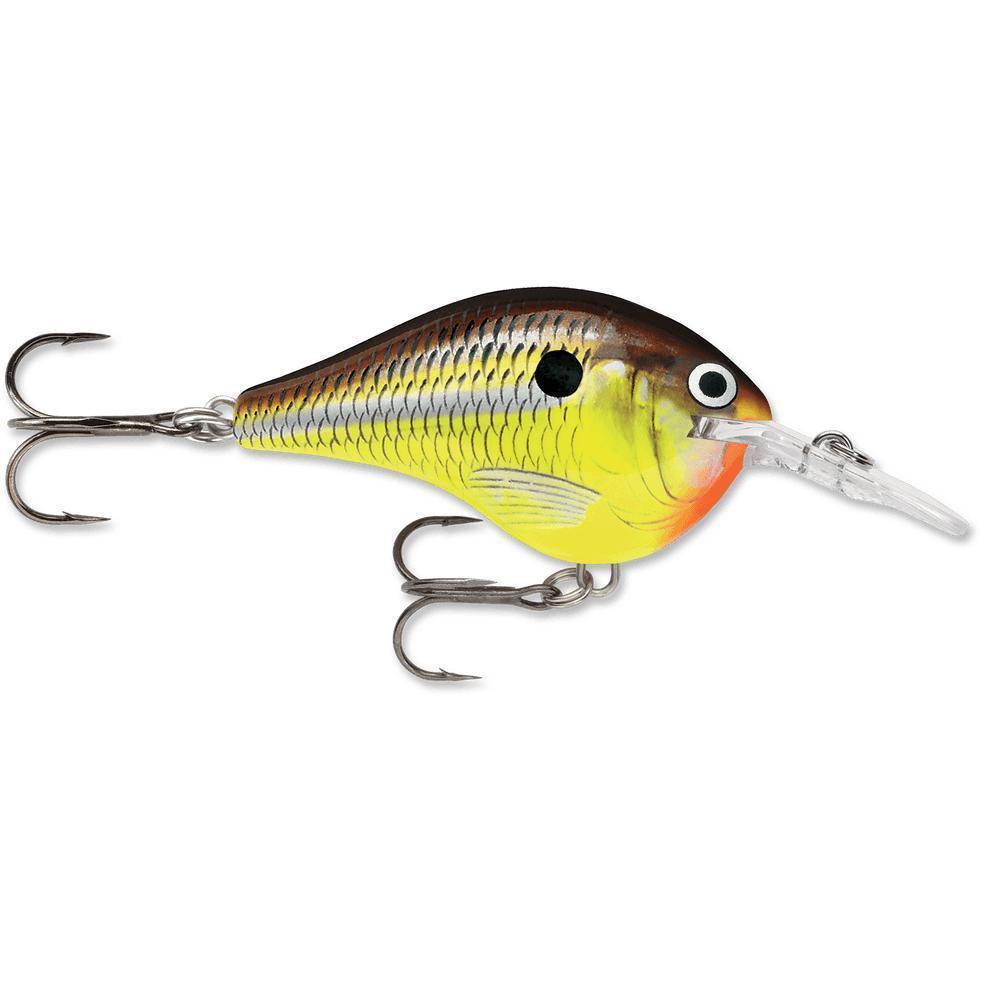 Rapala Dt 6 Crankbait Hot Mustard