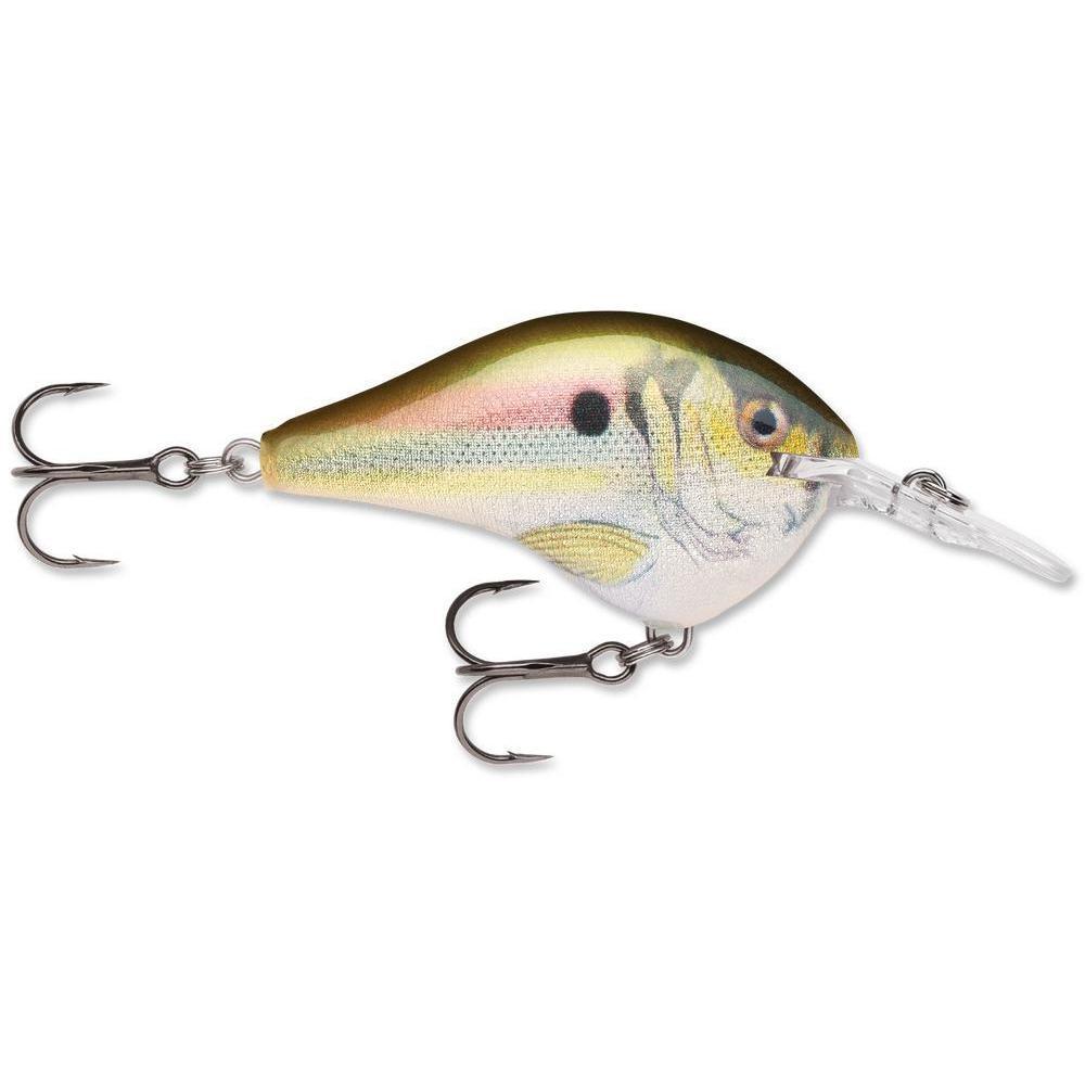 Rapala Dt 6 Crankbait Live River Shad