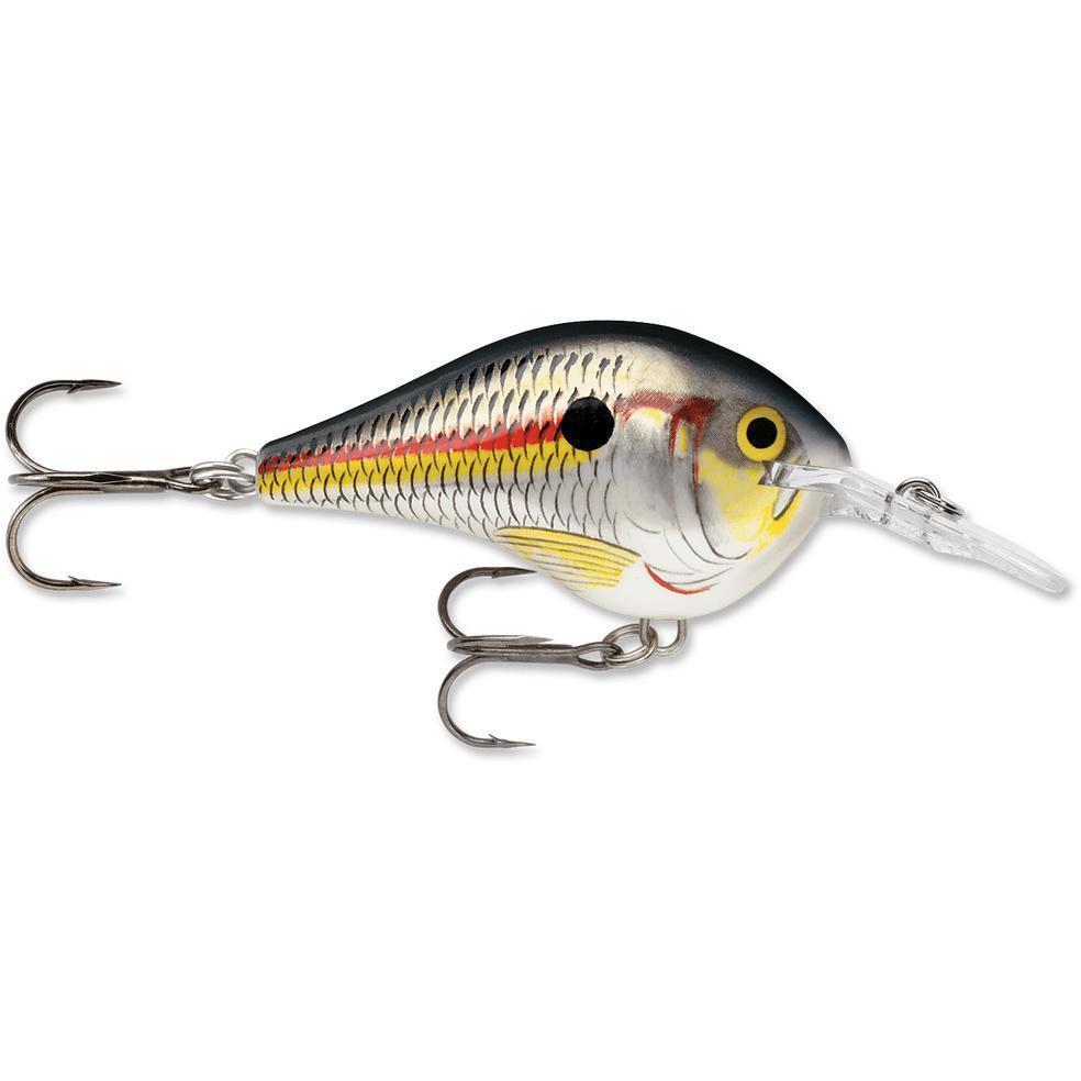 Rapala Dt 6 Crankbait Shad