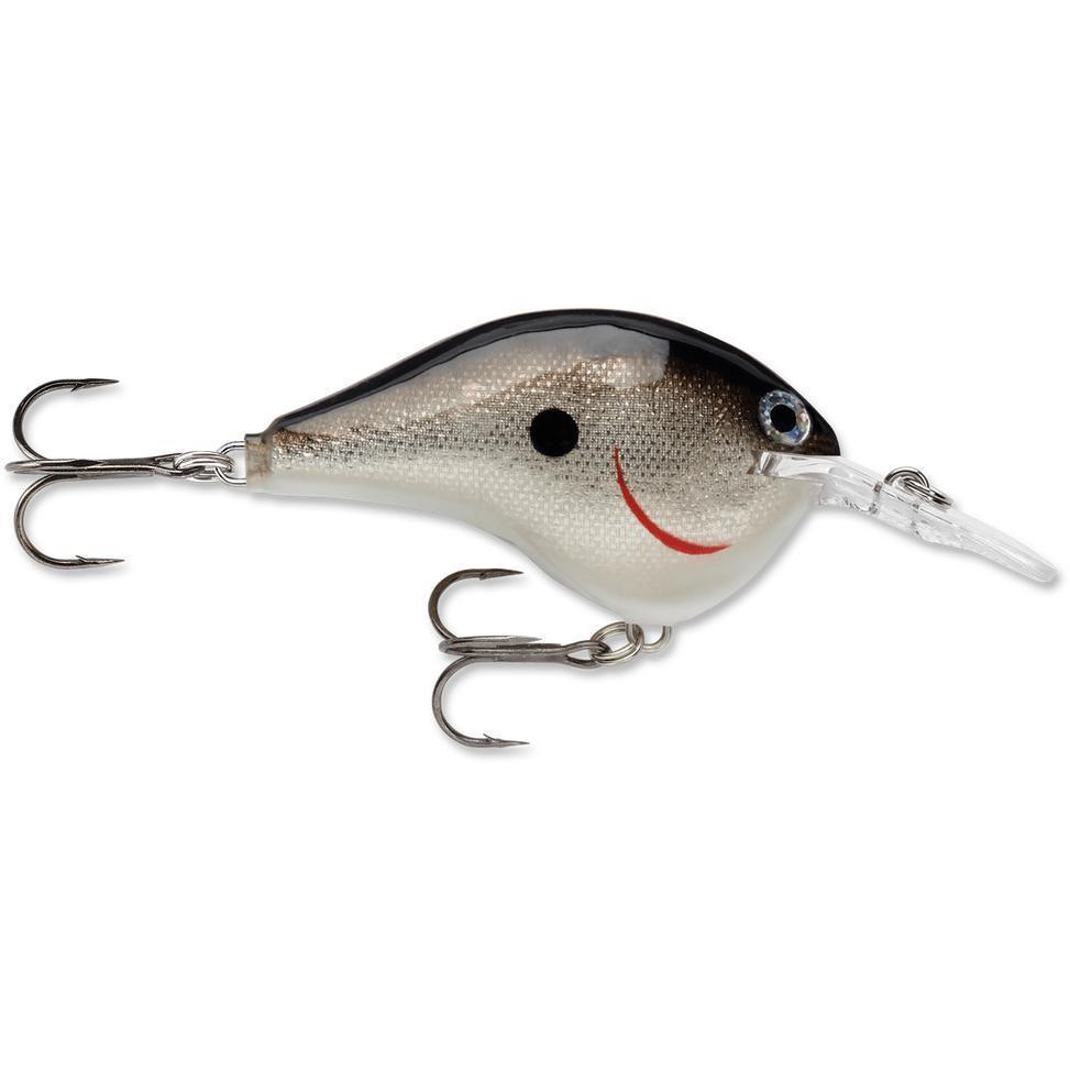 Rapala Dt 6 Crankbait Silver