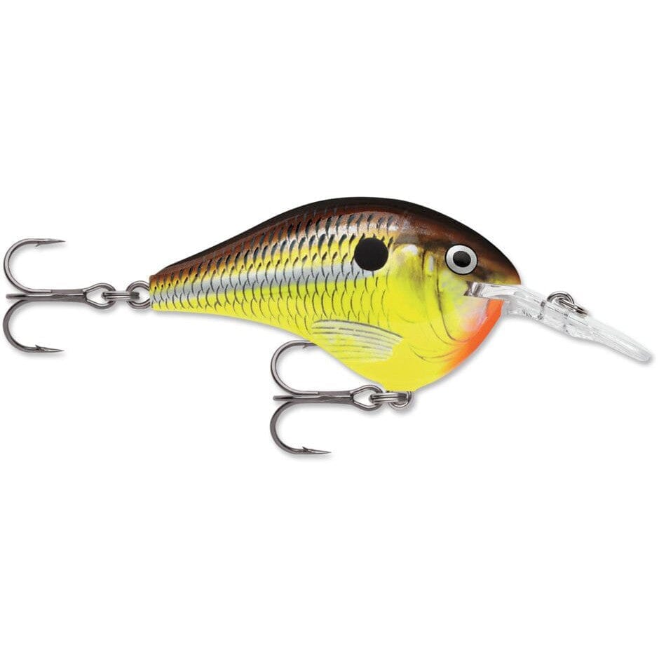 Rapala Dt 8 Crankbait Hot Mustard