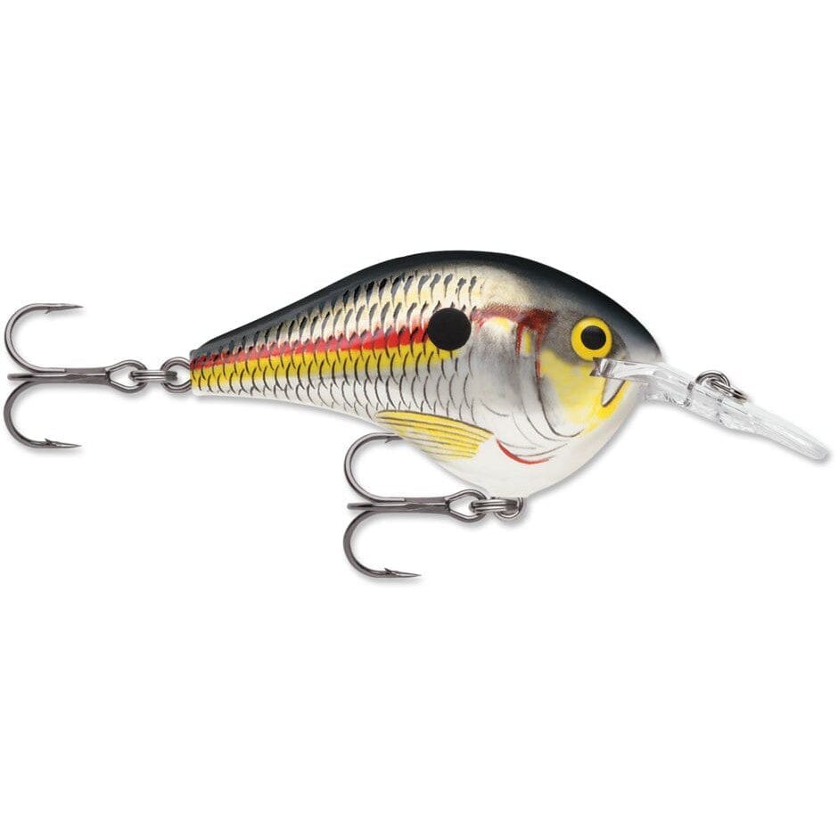 Rapala Dt 8 Crankbait Shad