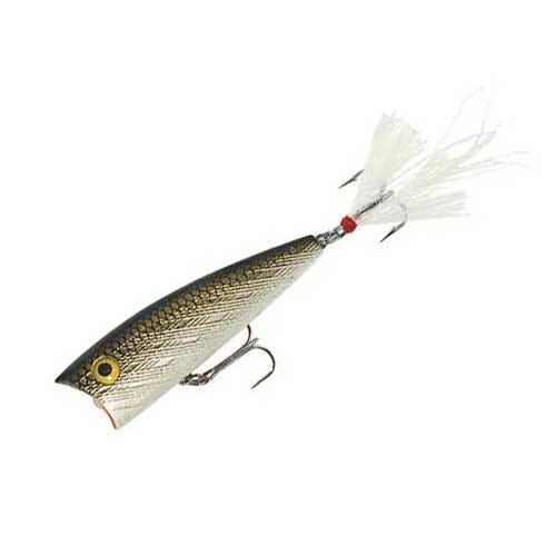 Rebel Pop R Magnum Tennessee Shad