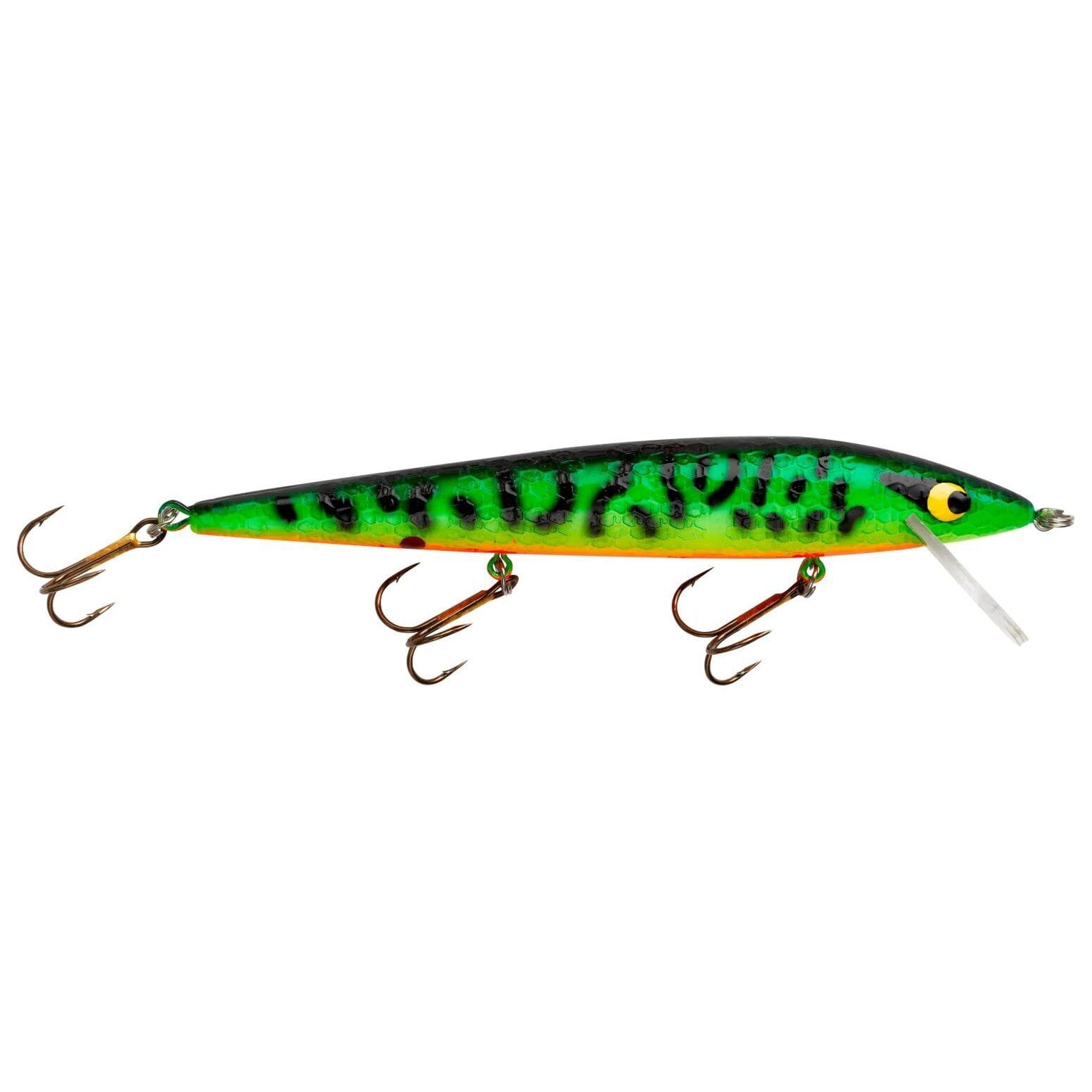 Smithwick Suspending Rattlin' Rogue Tiger Roan