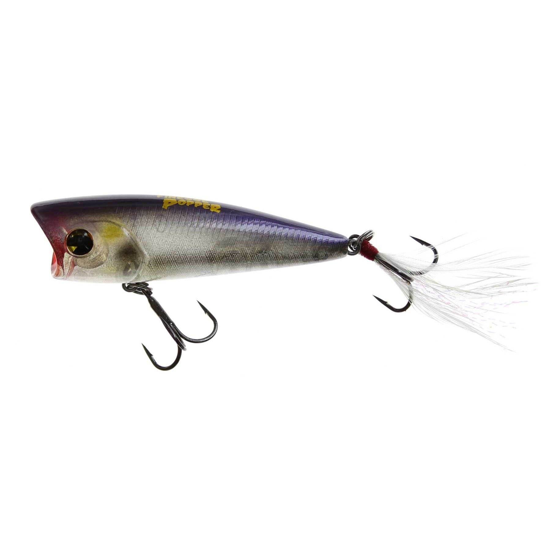 Ima Finesse Popper Real Ghost Shad – Hammonds Fishing