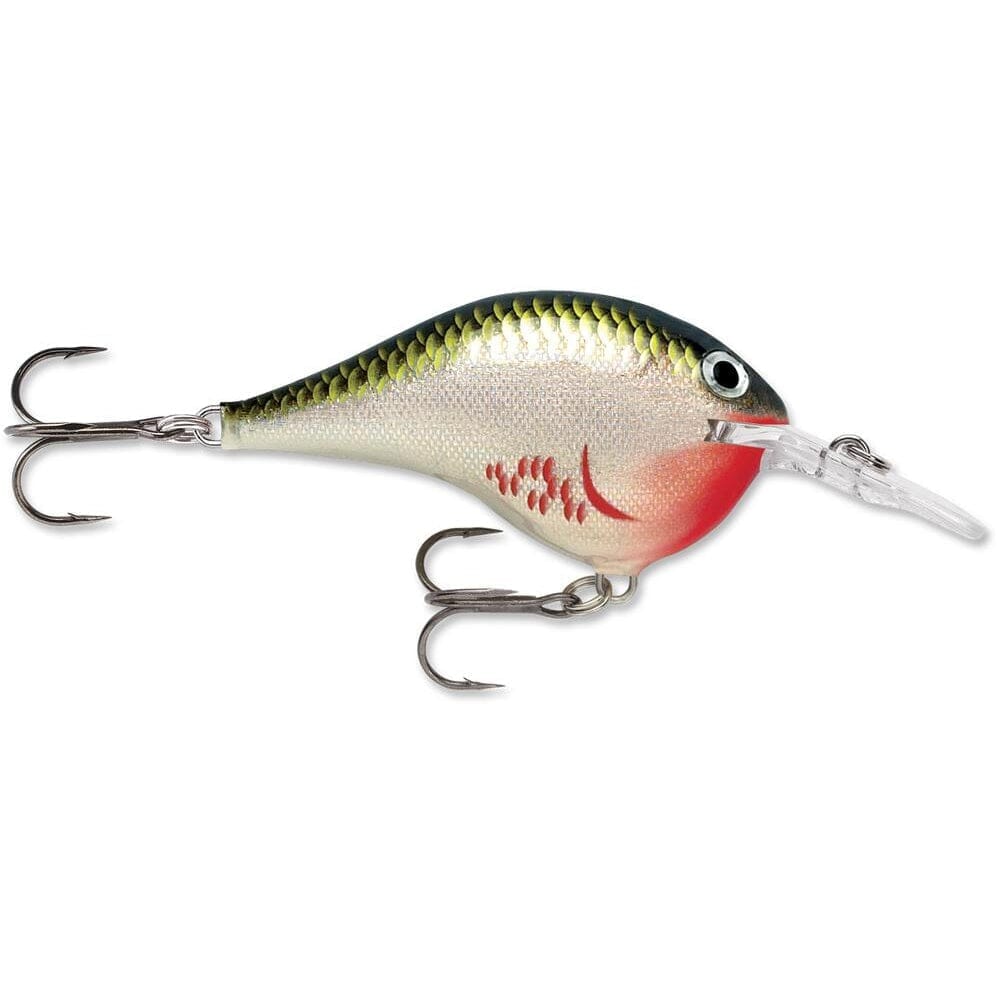 Rapala Dt 6 Crankbait Bleeding Olive Shiner