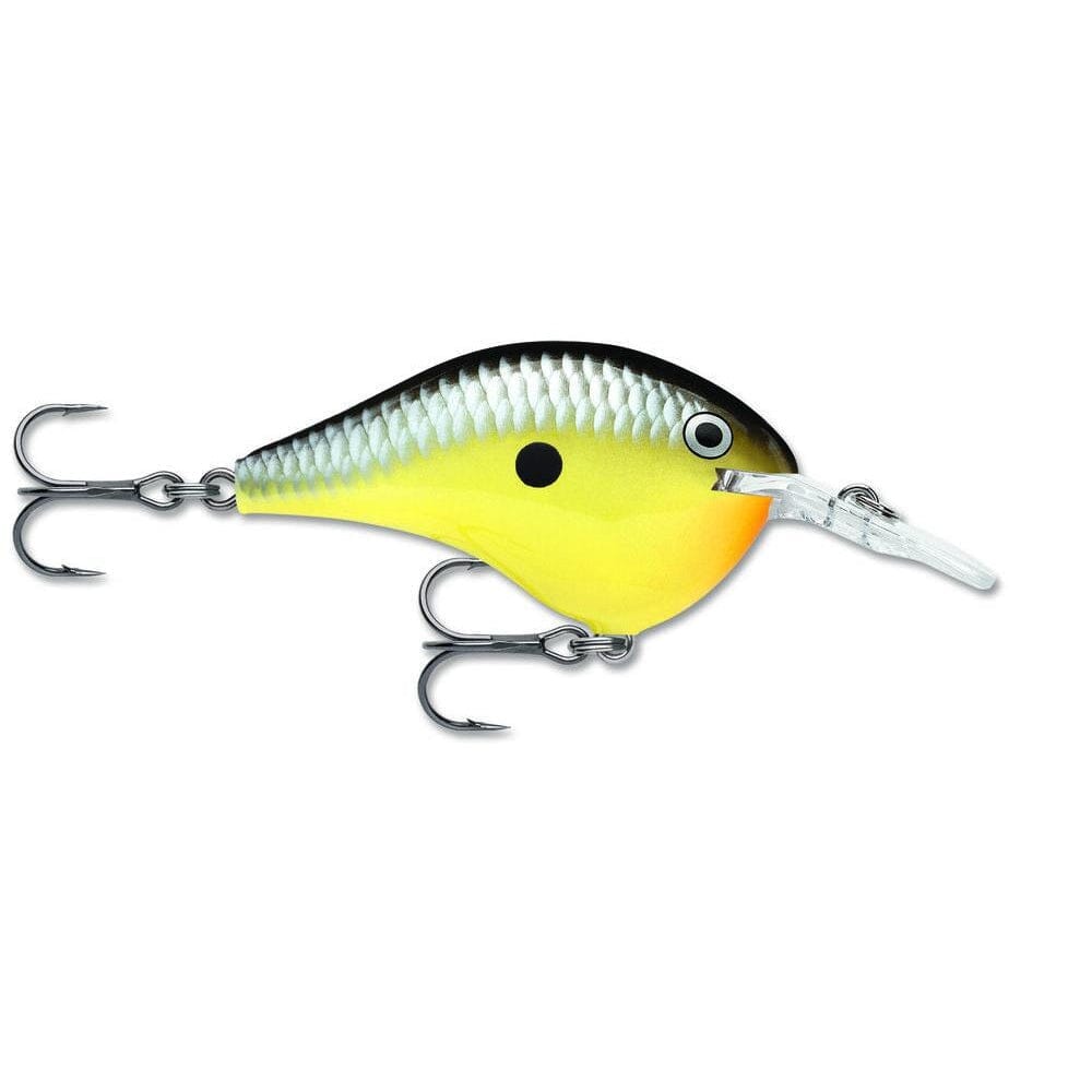 Rapala Dt 6 Crankbait Old School