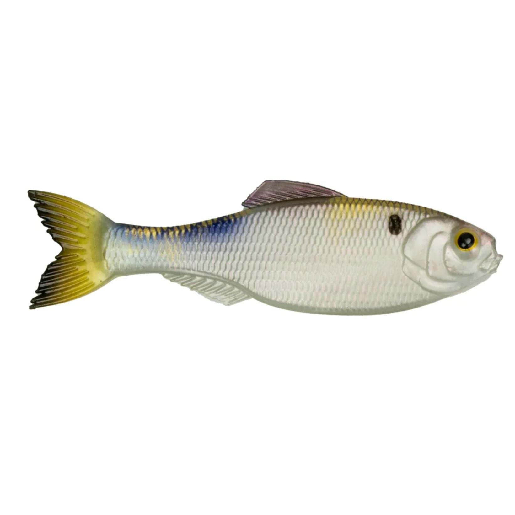 6th Sense Panorama 2.8" 8pk 4k Shad 