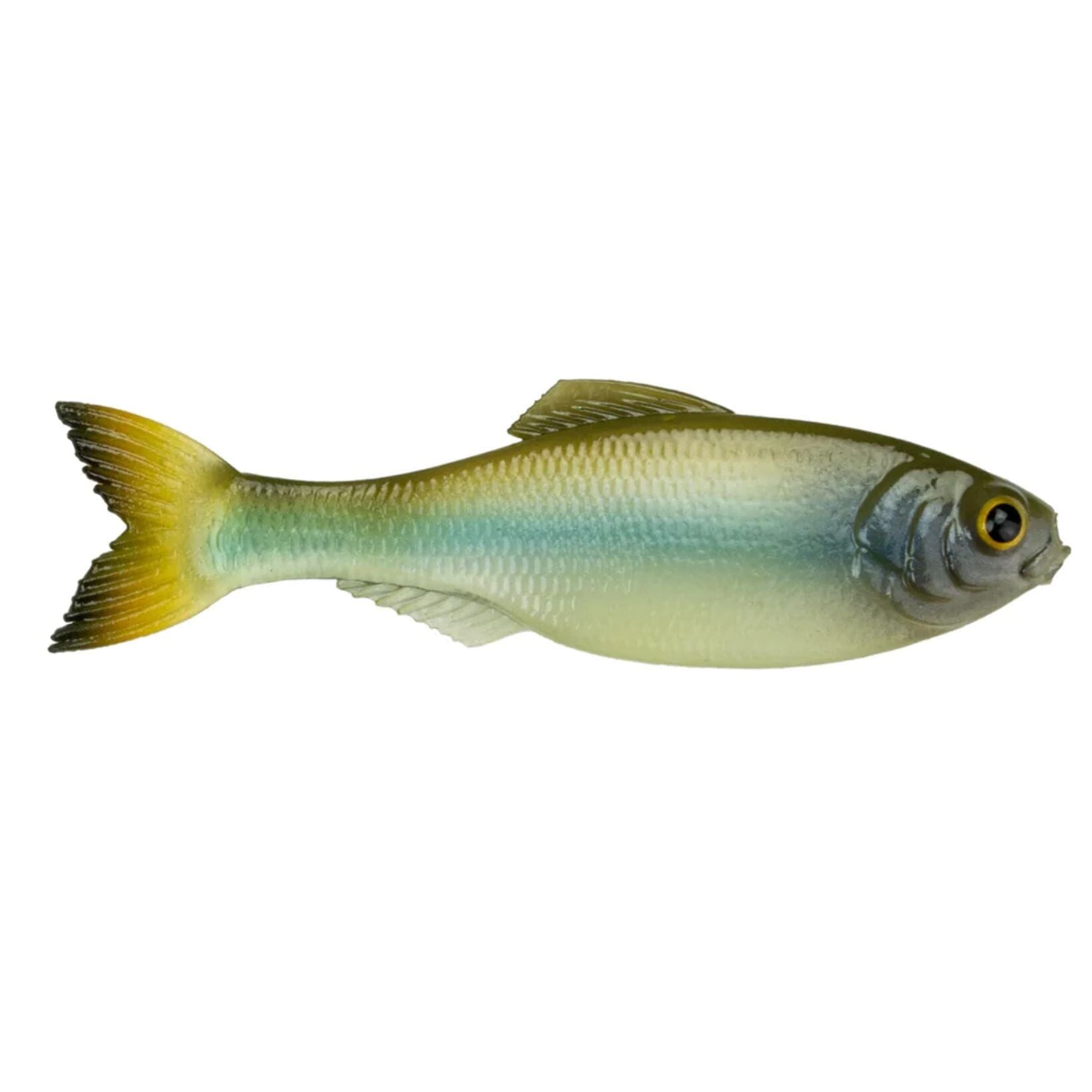 6th Sense Panorama 2.8" 8pk Ghost Minnow 
