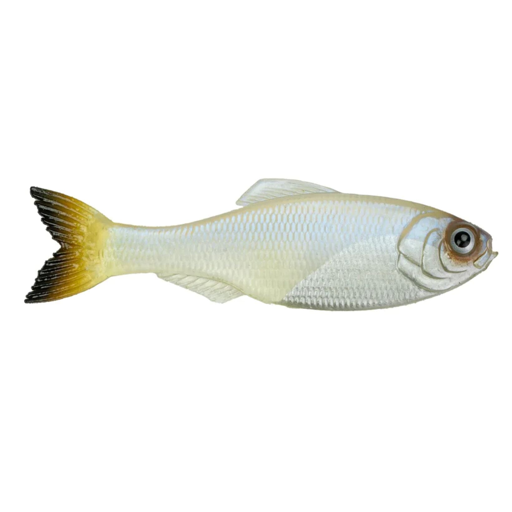 6th Sense Panorama-2.8" 8pk-Pro Blue-