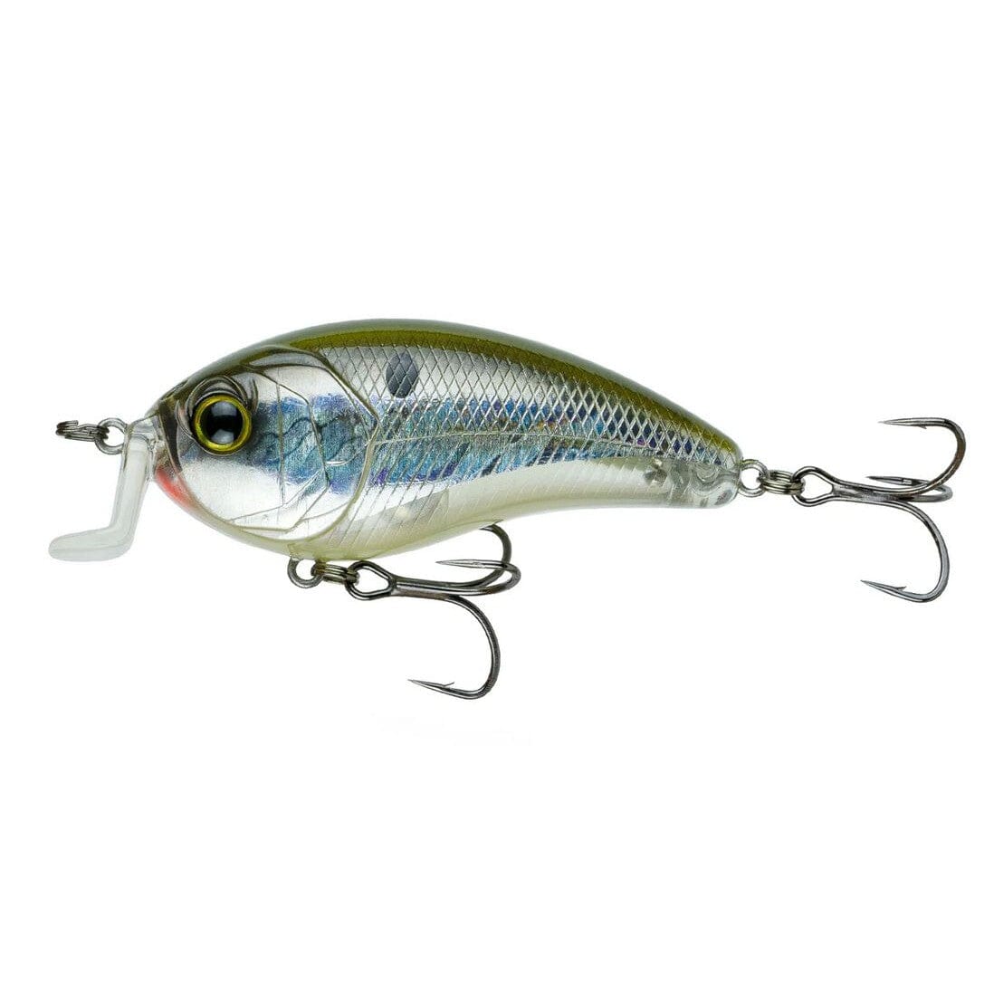 6th Sense Swank 77 Crankbait Shad Burst 