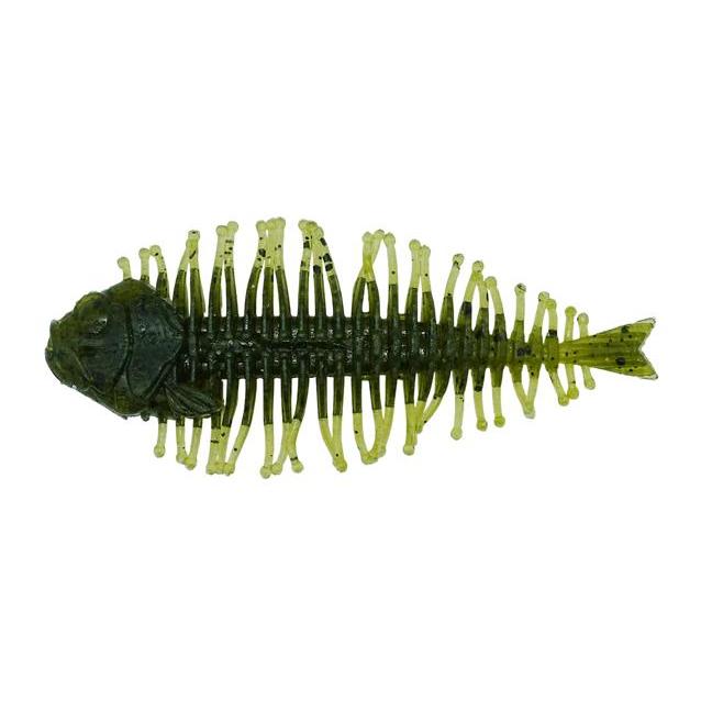 D Style Geelacanth Watermelon Seed-RE DC162 4" 3pk 