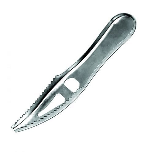 Eagle Claw Fish Scaler-