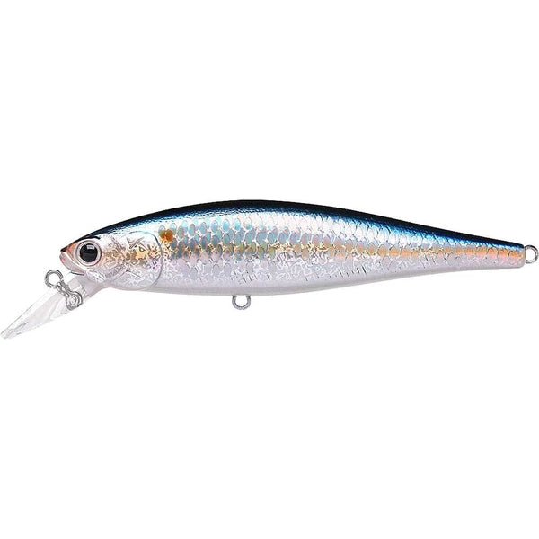 Lucky Craft Pointer 100 MS American Shad