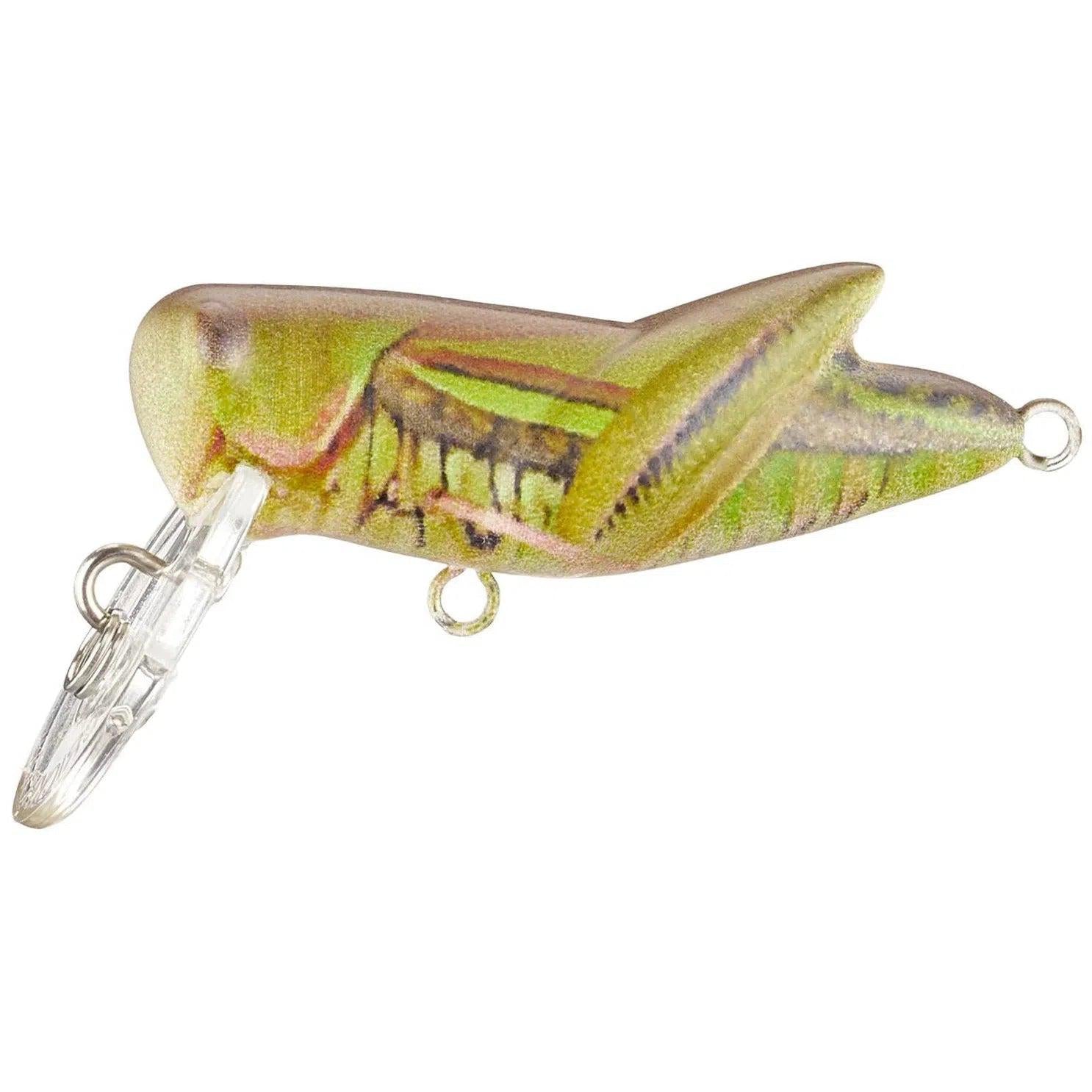 Rebel Crickhopper Army Cricket-