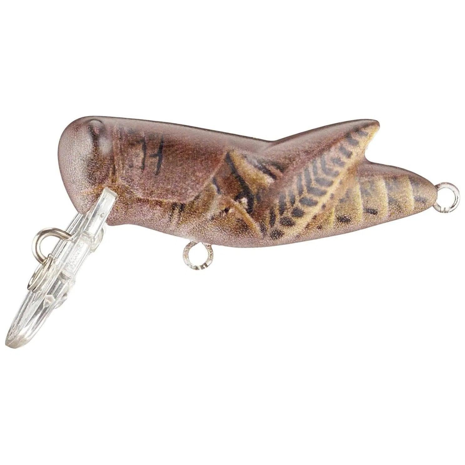 Rebel Crickhopper Matte Brown-