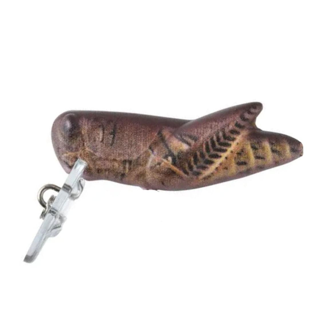 Rebel Crickhopper Rusty Brown-