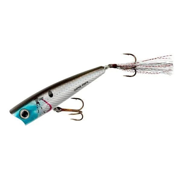 Rebel Pop R Super-Silver Shiner-