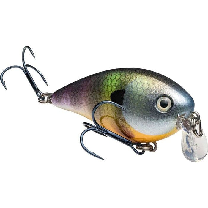 Strike King Kvd 1.5 Shallow-Neon Bluegill-