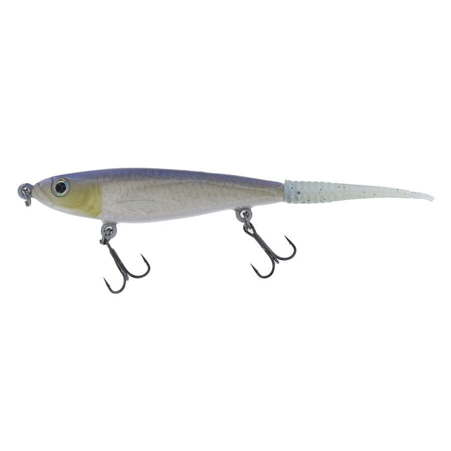 Sweet Bait Twitch Blue Back-