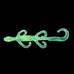 Zoom Mini Lizard 4'' Chartreuse Pepper 15Pk