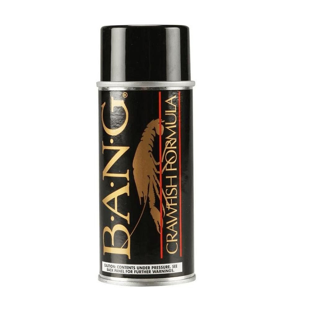 BANG Fish Attractant 5oz Aerosol Spray 
