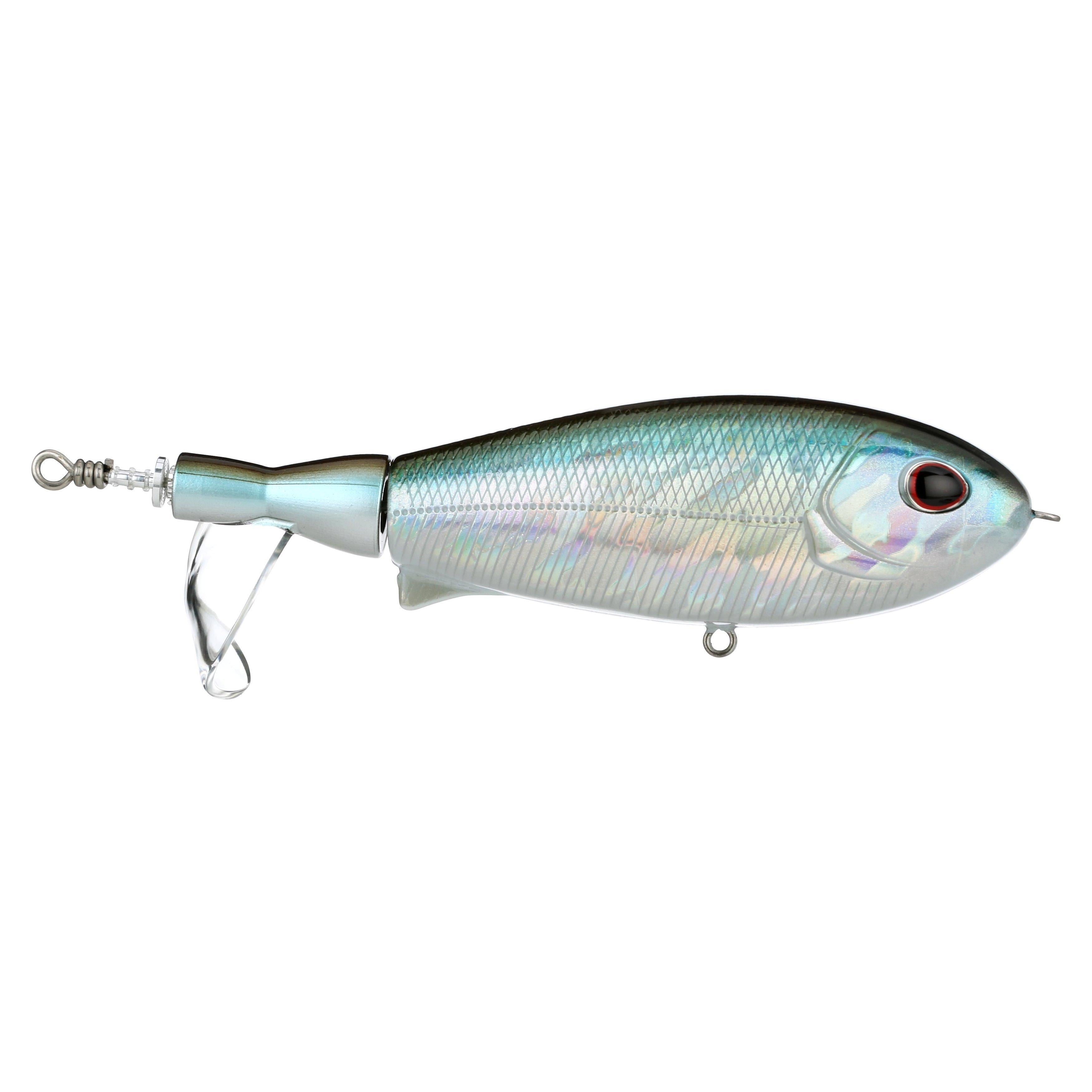 discount fishing lures for sale Item Color:Sexee Shad - CD3-3 Daiwa BG Spinning Reels striped bass NEW26H1