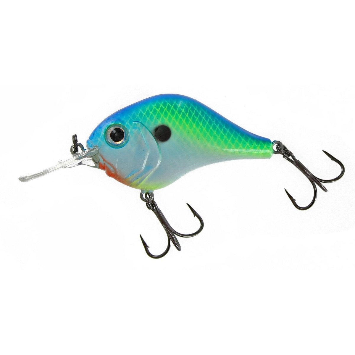 Bill Lewis Mr-6 Crankbait Citrus Shad 