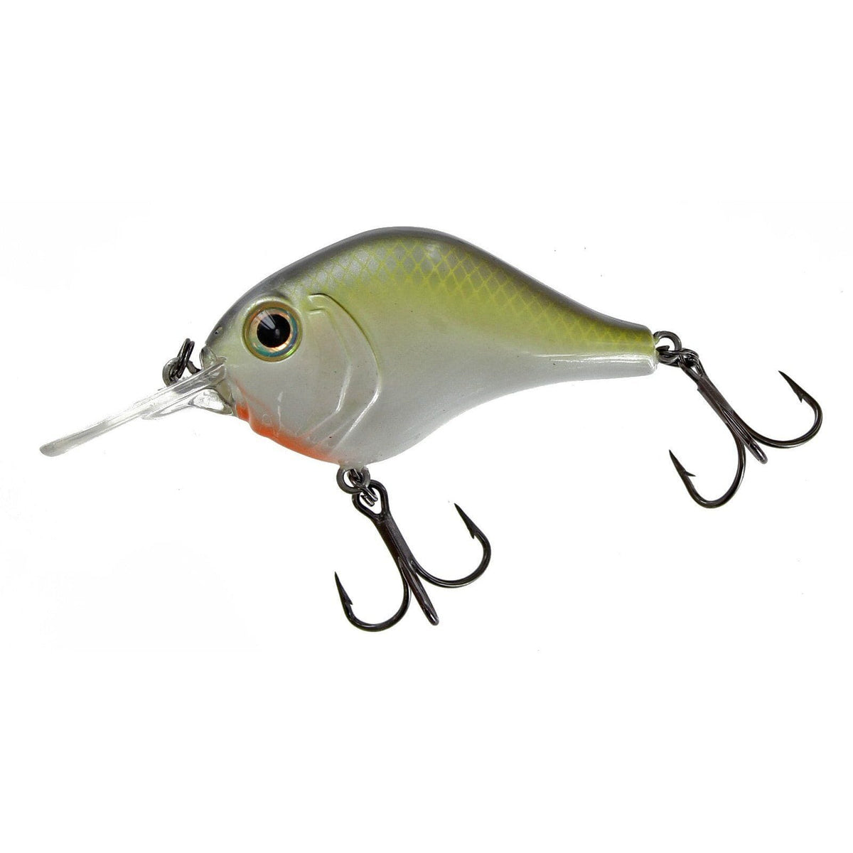 Bill Lewis Mr-6 Crankbait Louisiana Shad 