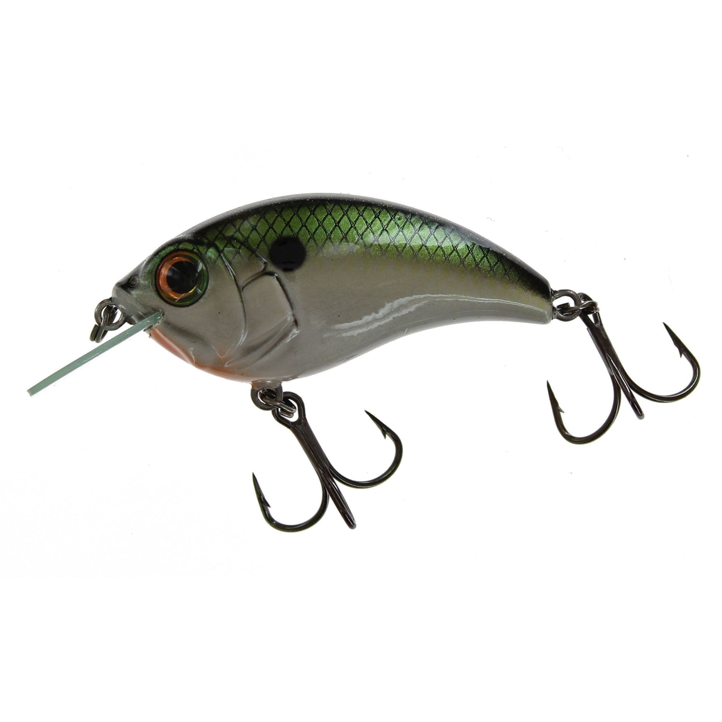 Bill Lewis SB-57 Squarebill Crankbait Tennessee Shad