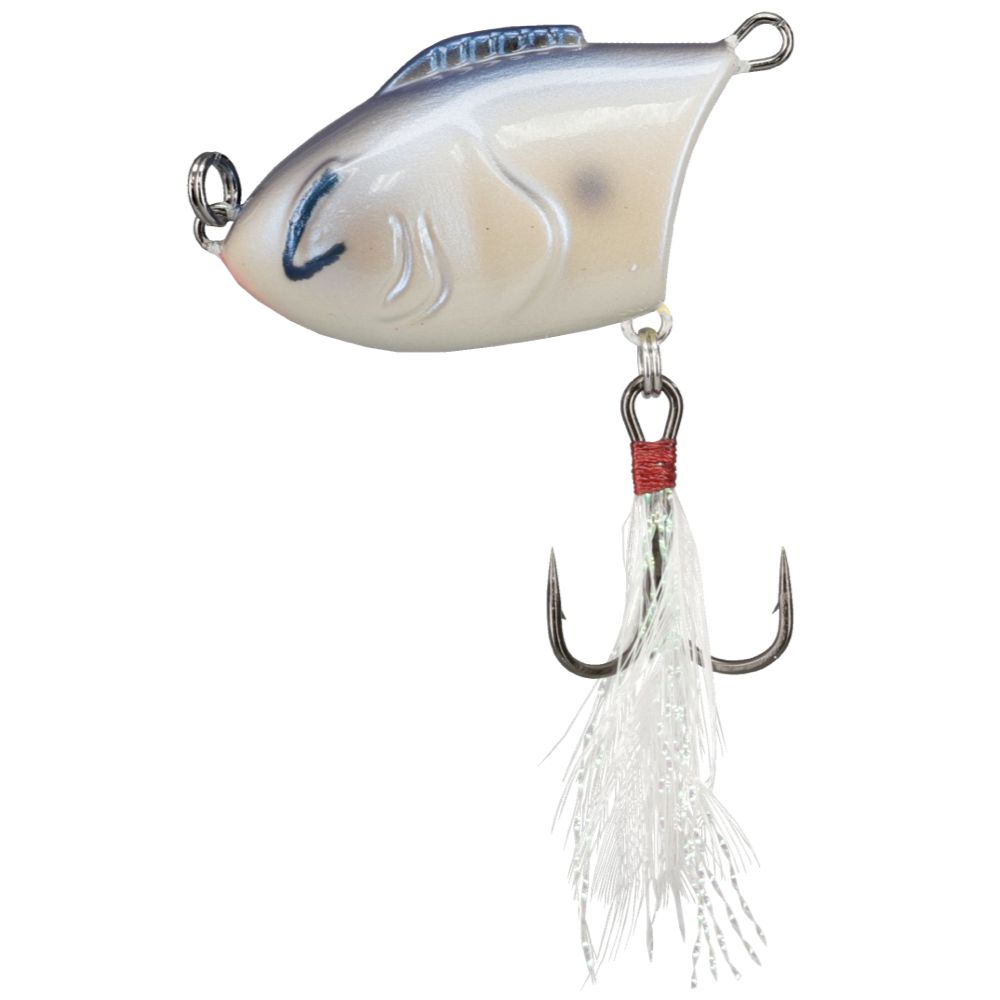 Bill Lewis Zig Zag-Oyster-