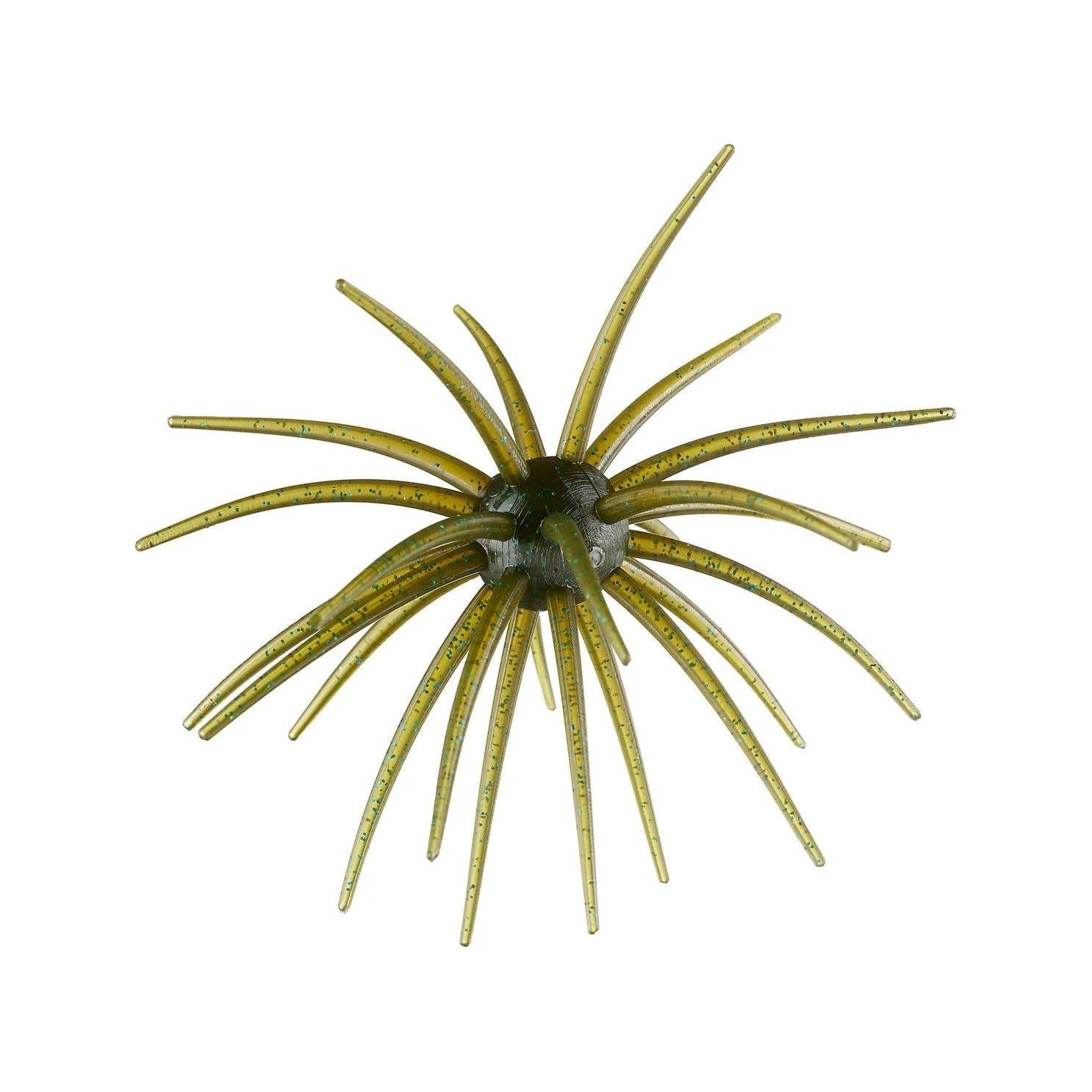 Hag's Prickly Pear 19mm Guadalupe Haze