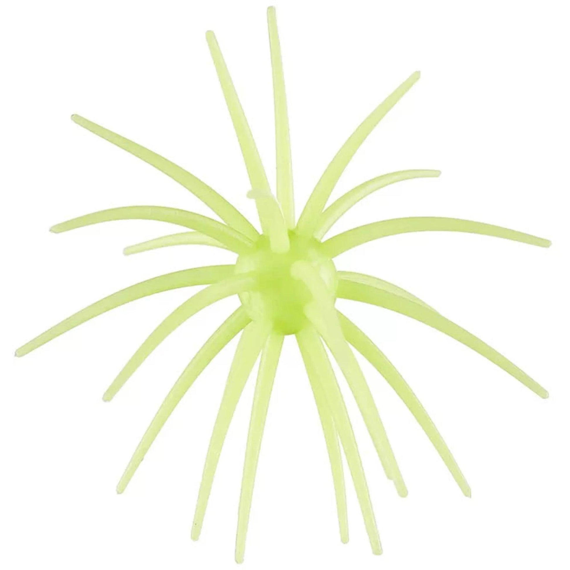 Hag's Prickly Pear 19mm Llano Lime