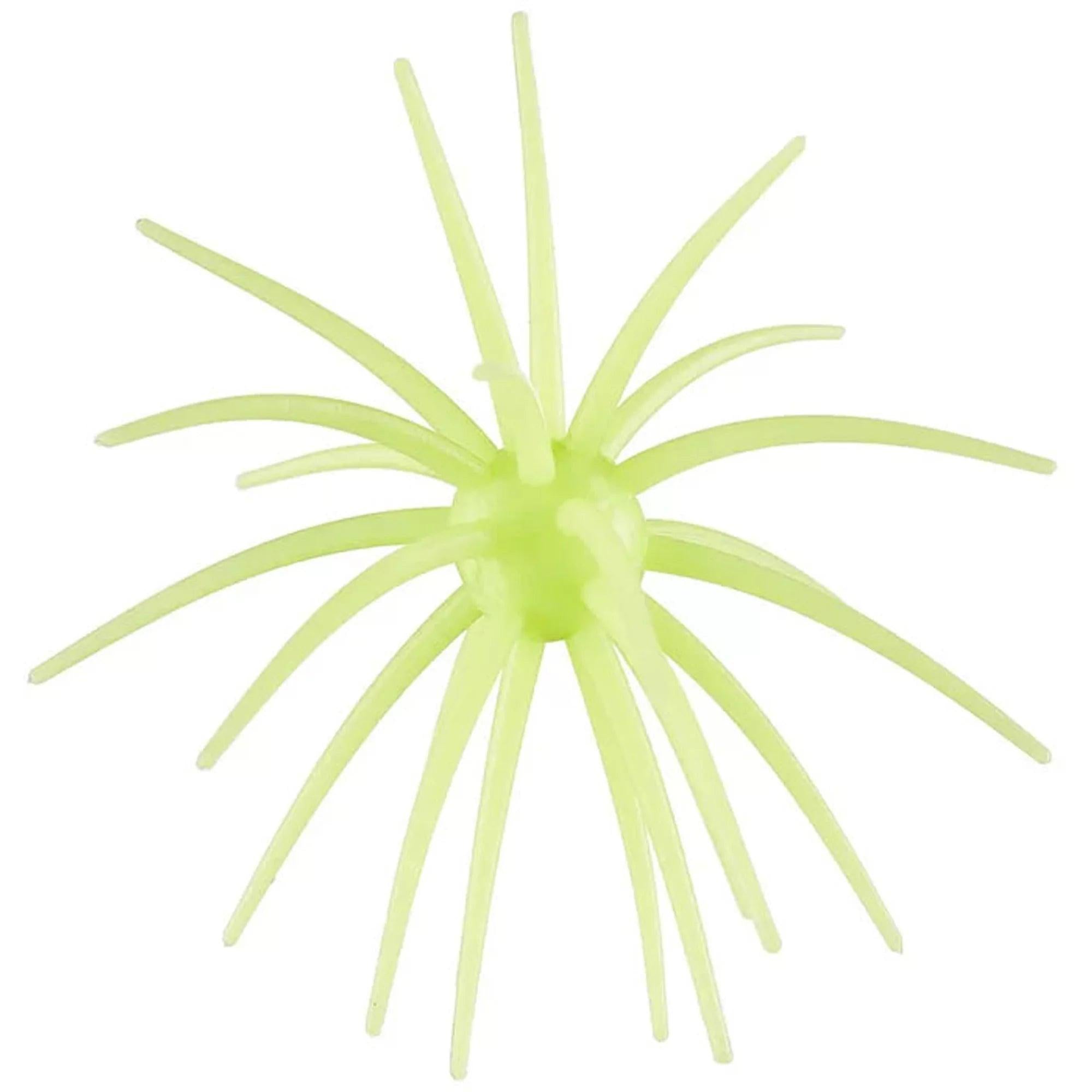 Hag's Prickly Pear 19mm Llano Lime