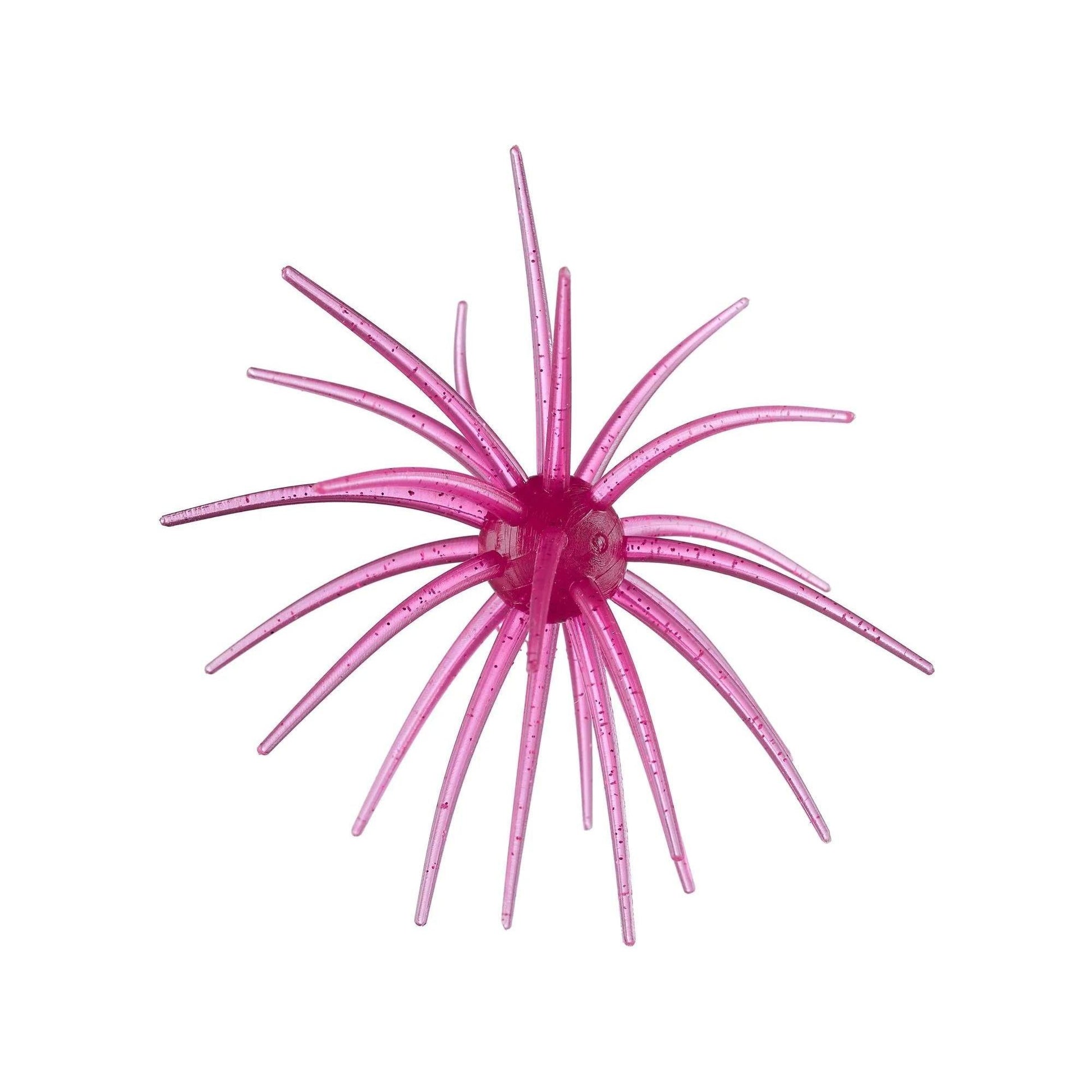 Hag's Prickly Pear 19mm Palo Duro Purple