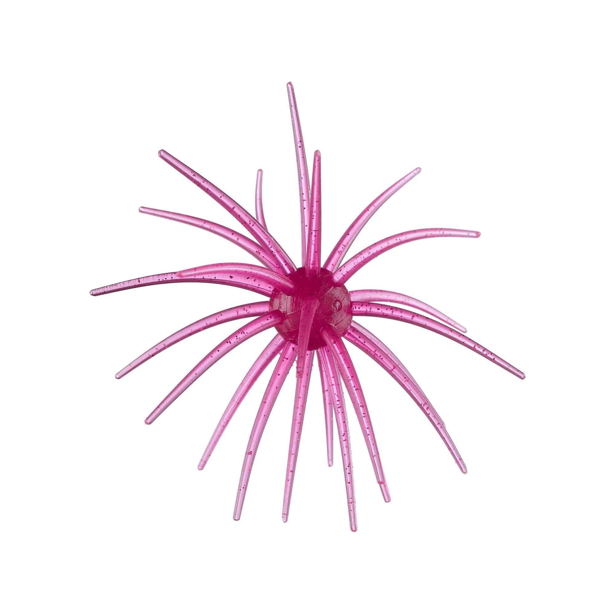 Hag's Prickly Pear 19mm Palo Duro Purple