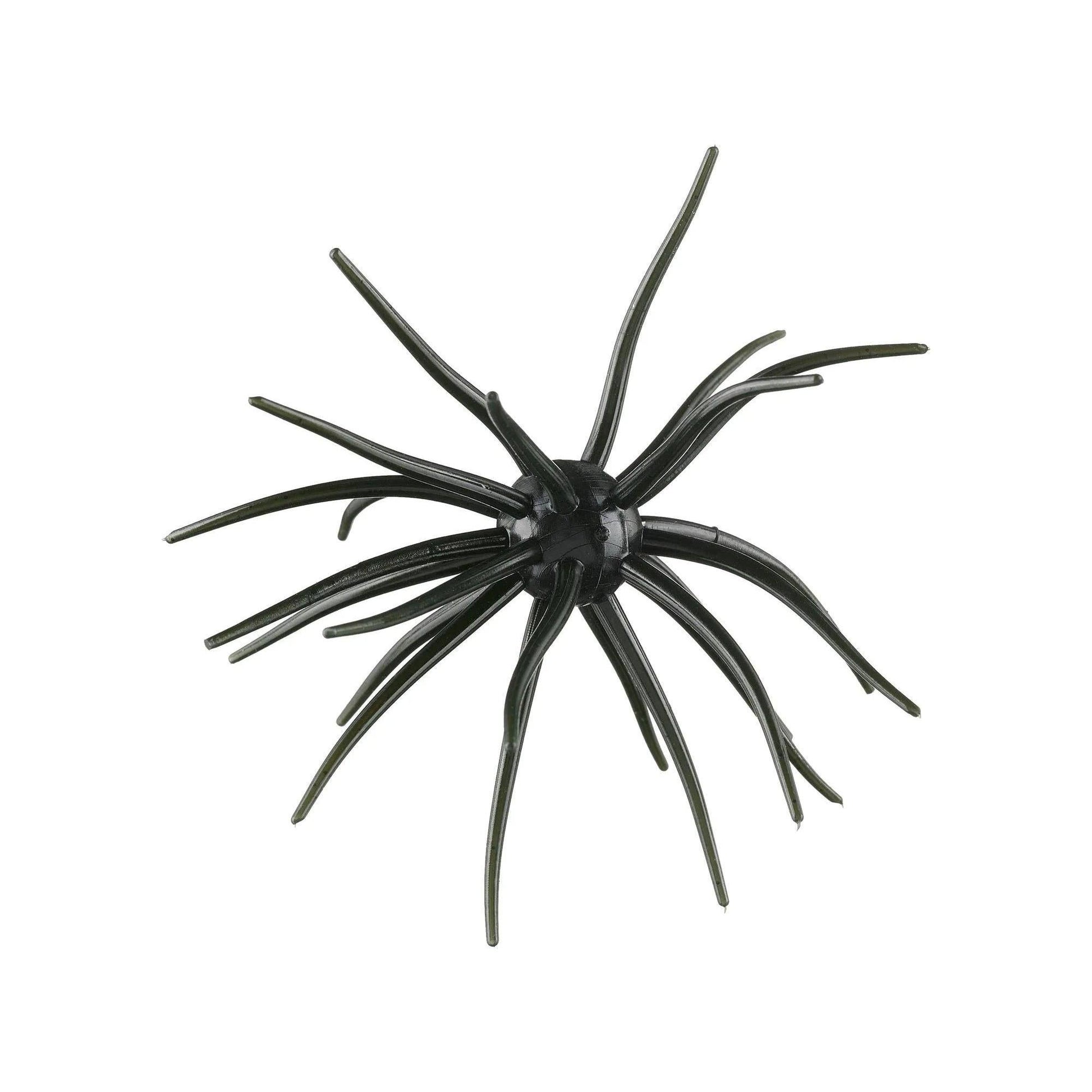 Hag's Prickly Pear 19mm Texas Tuxedo